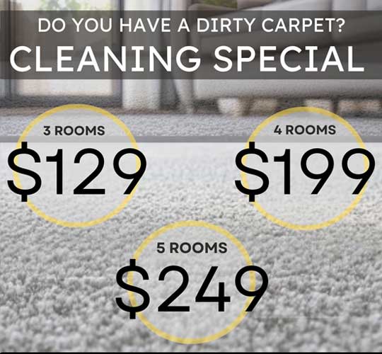 Sweettouch Clean Carpet